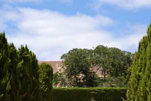 carrick hill 2014 (39)